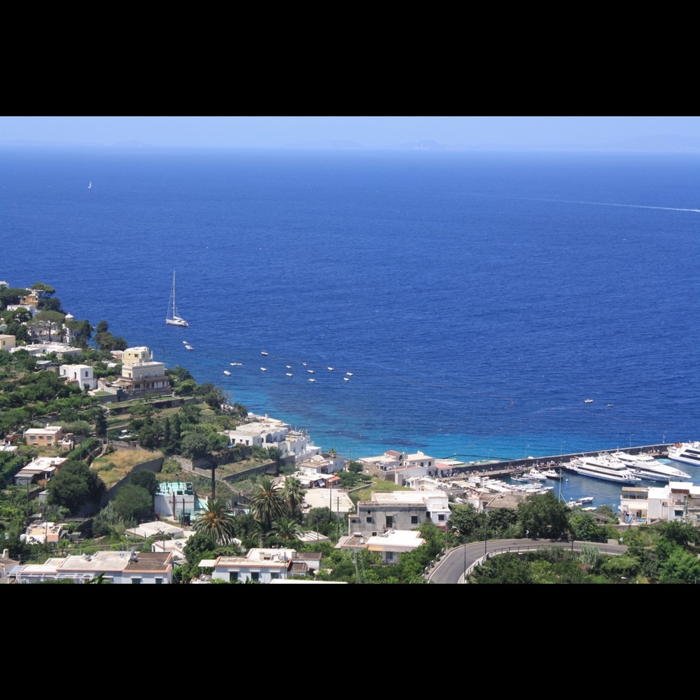 Meet your Posher, Ani